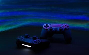 Jak zapanować nad psem na spacerze?