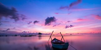 Jaki kolor sukienki dla matki chrzestnej?