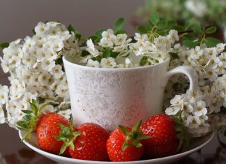 Jaki pierwszy talerzyk dla dziecka?